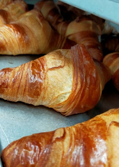 335701817_573784438052905_4172545306927278084_n-e1696862425272-qdm2b3s17bdp4460ikfqjp47lrcpcagbr9uulj3vag